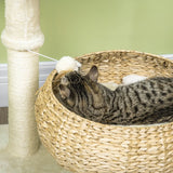 D30-636V00BG_Purrtree_Elevated_Plush_Cat_Bed_with_Sisal_Scratching_Post