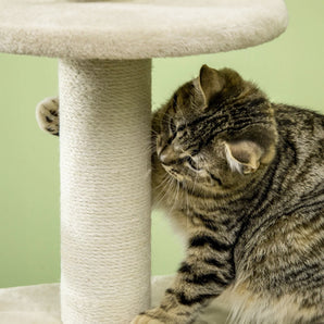 D30-550V00BG_Purrtree_Cat_Condo_Climbing_Tower_with_Scratchers_and_Toys